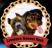My Blog